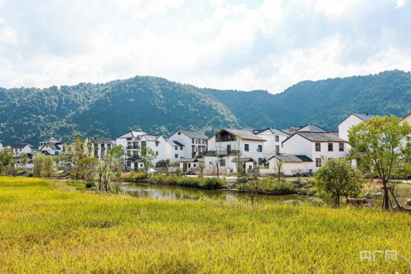 建德下涯镇(央广网发 共青团杭州市委员会供图)