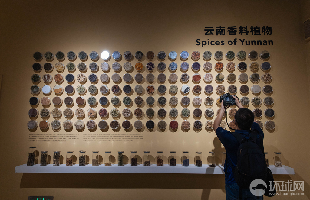 种子也可以色彩斑斓:探访中国第一个种子博物馆|中国|环球网_新浪新闻