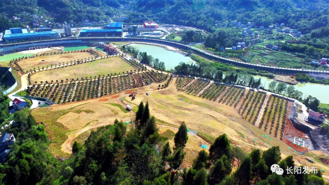 10月12日，长阳县发布的挖山采石区生态修复后的实景图图片来源：长阳发布