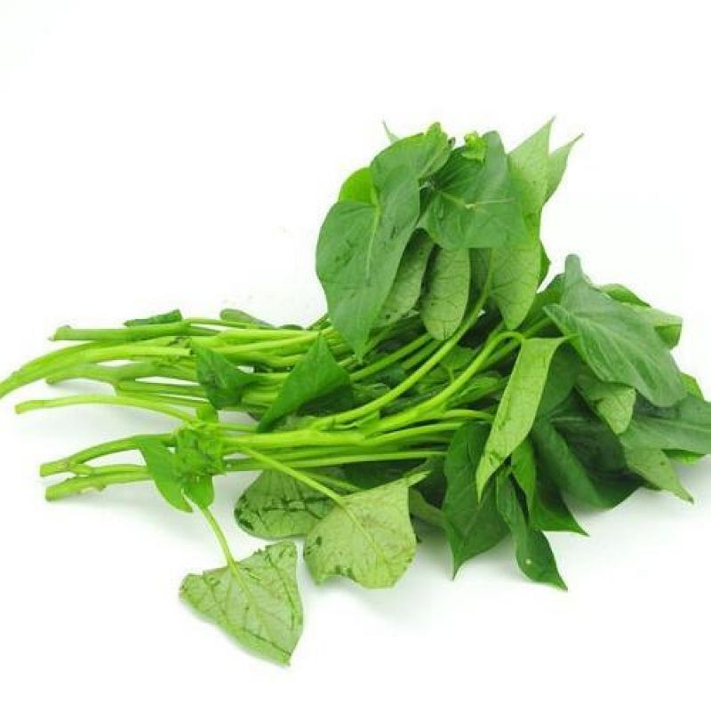怎么做最好吃?|红薯叶|鲜美|蔬菜_新浪新闻