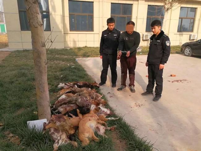 一家7口吃狗肉险丧命狗肉为何不宜被食用看狗肉来源就知道了