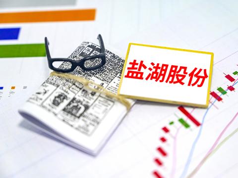 盐湖股份涉嫌非法采矿 3亿关联交易延迟两年披