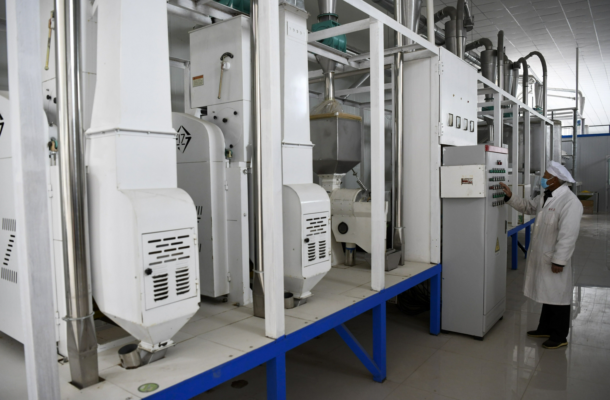 河北丰宁:发展有机小米产业 助力乡村振兴