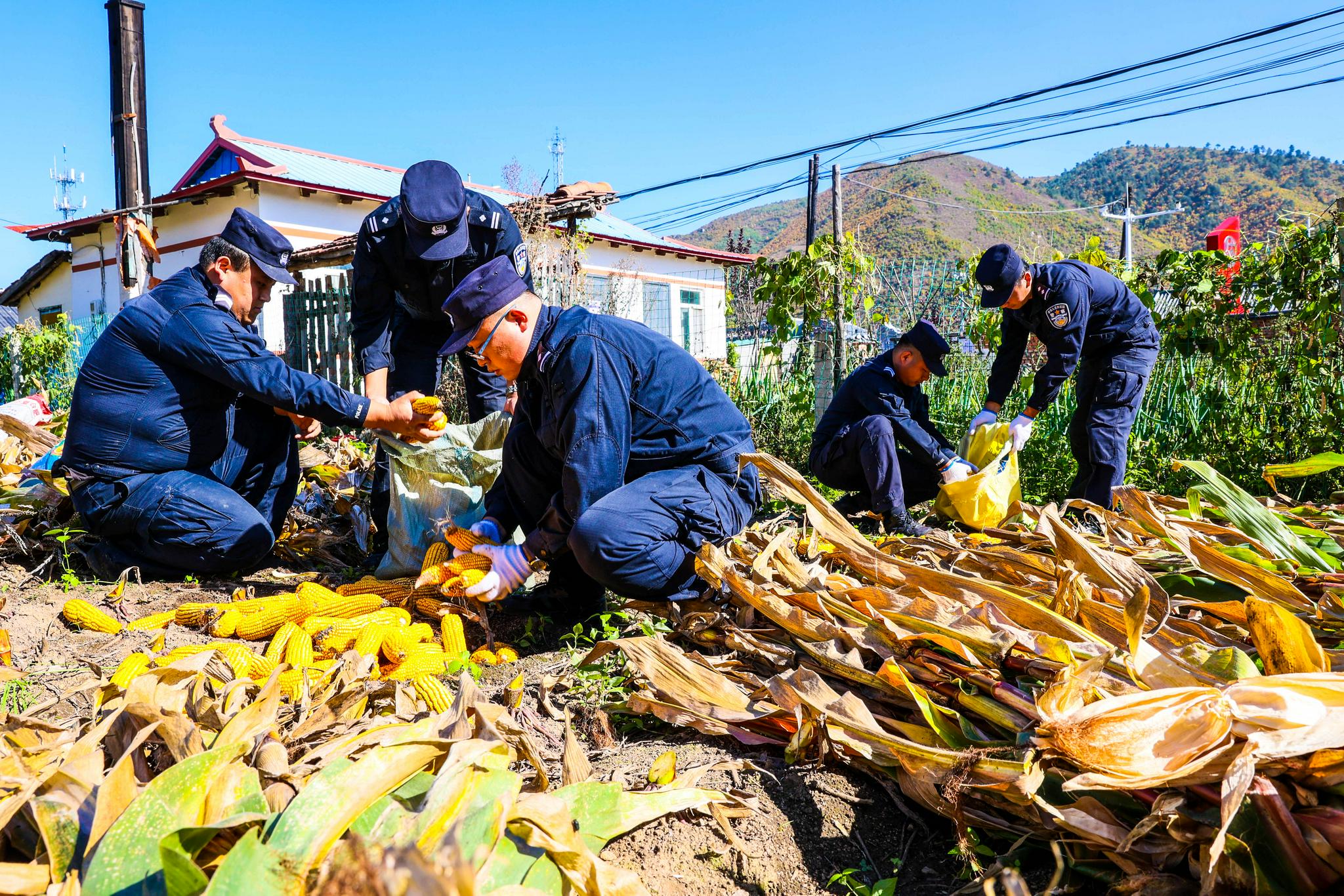 助农秋收送温暖|民警|延边朝鲜族自治州_新浪新闻