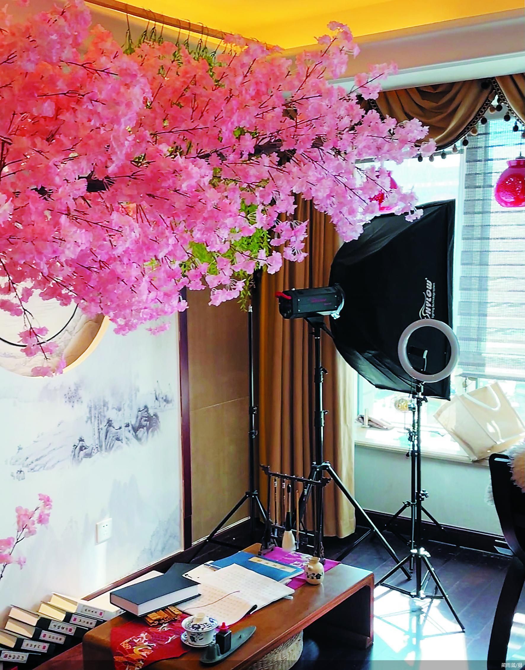 提供自拍场景的自拍馆近期风靡各大平台