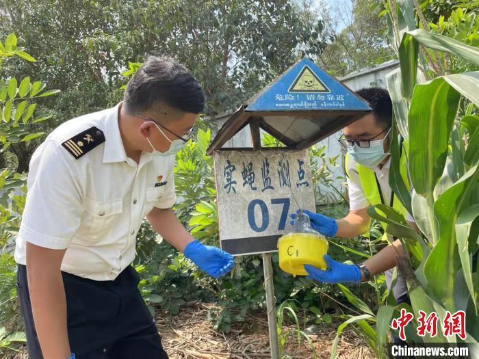 昆明海关1—9月截获有害生物180种6071次