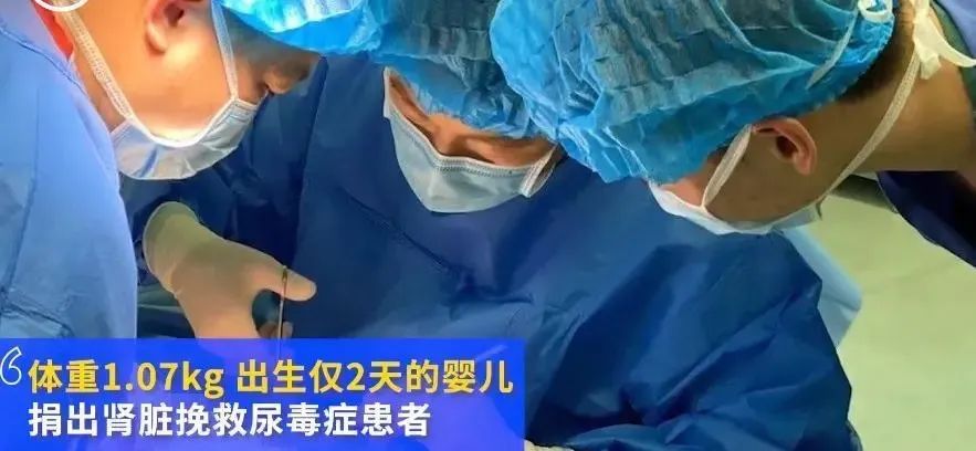 E句话看天下 ｜《仙剑奇侠传六》要开拍了？休闲区蓝鸢梦想 - Www.slyday.coM