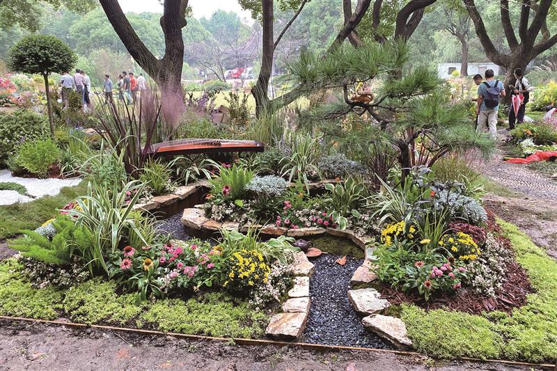 园艺高手 比拼创意