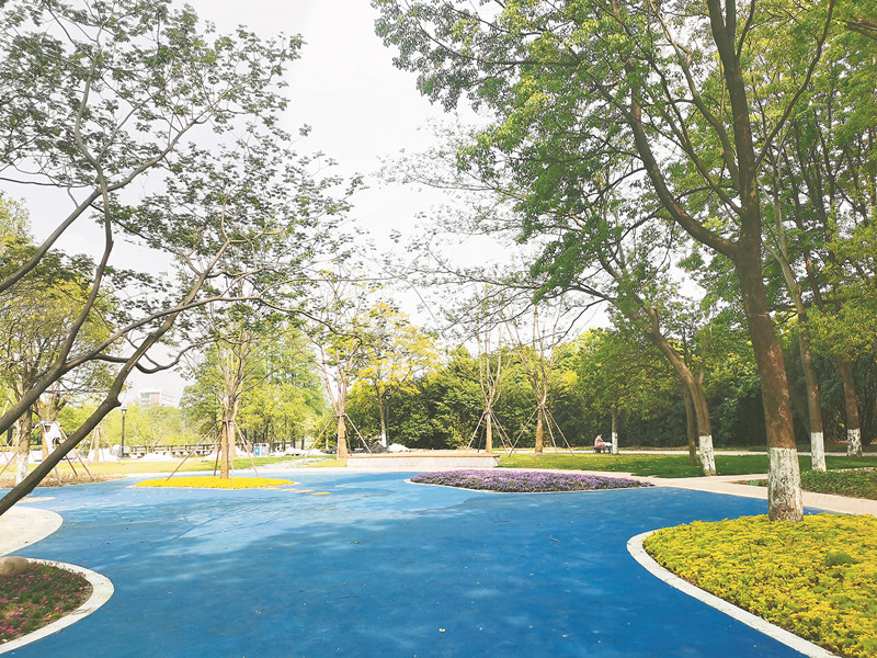 城区四个公园广场悄悄变了样