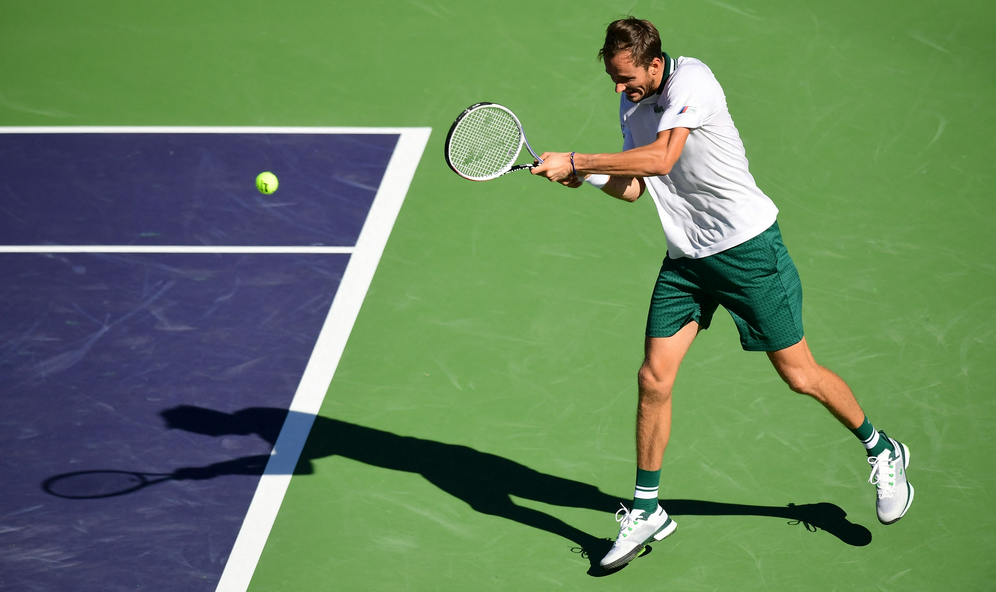 网球——巴黎银行公开赛:迪米特洛夫胜梅德韦杰夫