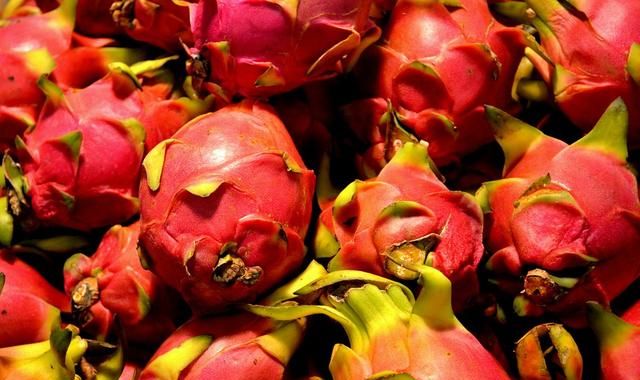 红色的火带刺的龙美味的果