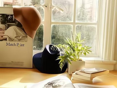 梵蜜琳二审又败诉 媒体报道未贬损"