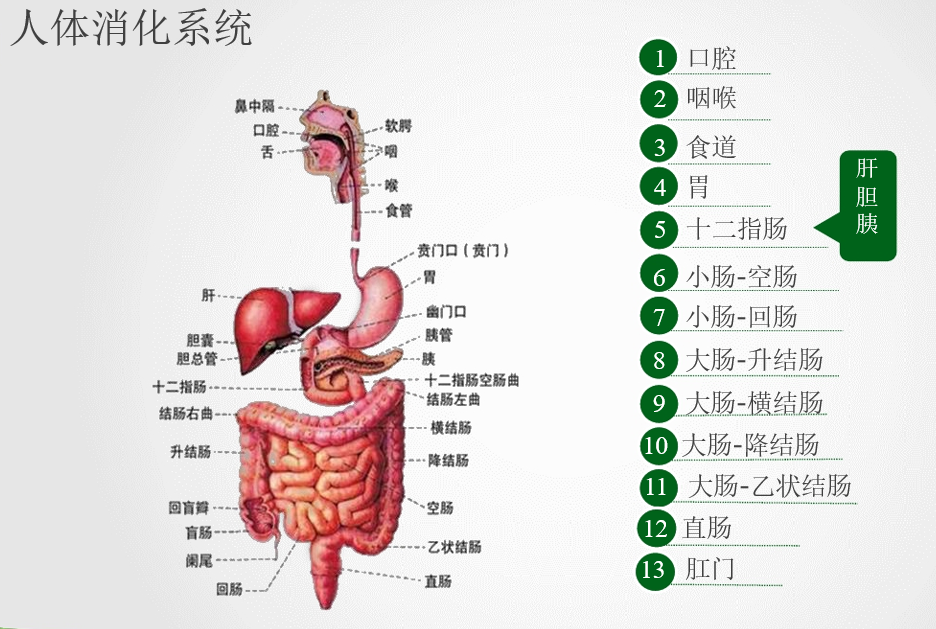 美女航天员王亚平：生理期怎么办？神十三16日发射，在轨6个月休闲区蓝鸢梦想 - Www.slyday.coM