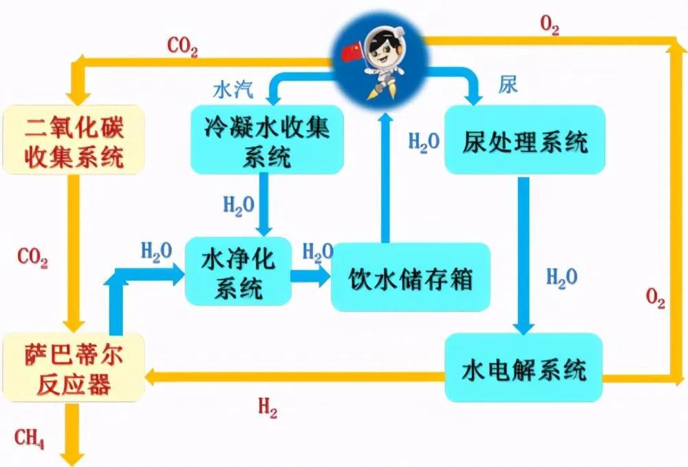 美女航天员王亚平：生理期怎么办？神十三16日发射，在轨6个月休闲区蓝鸢梦想 - Www.slyday.coM