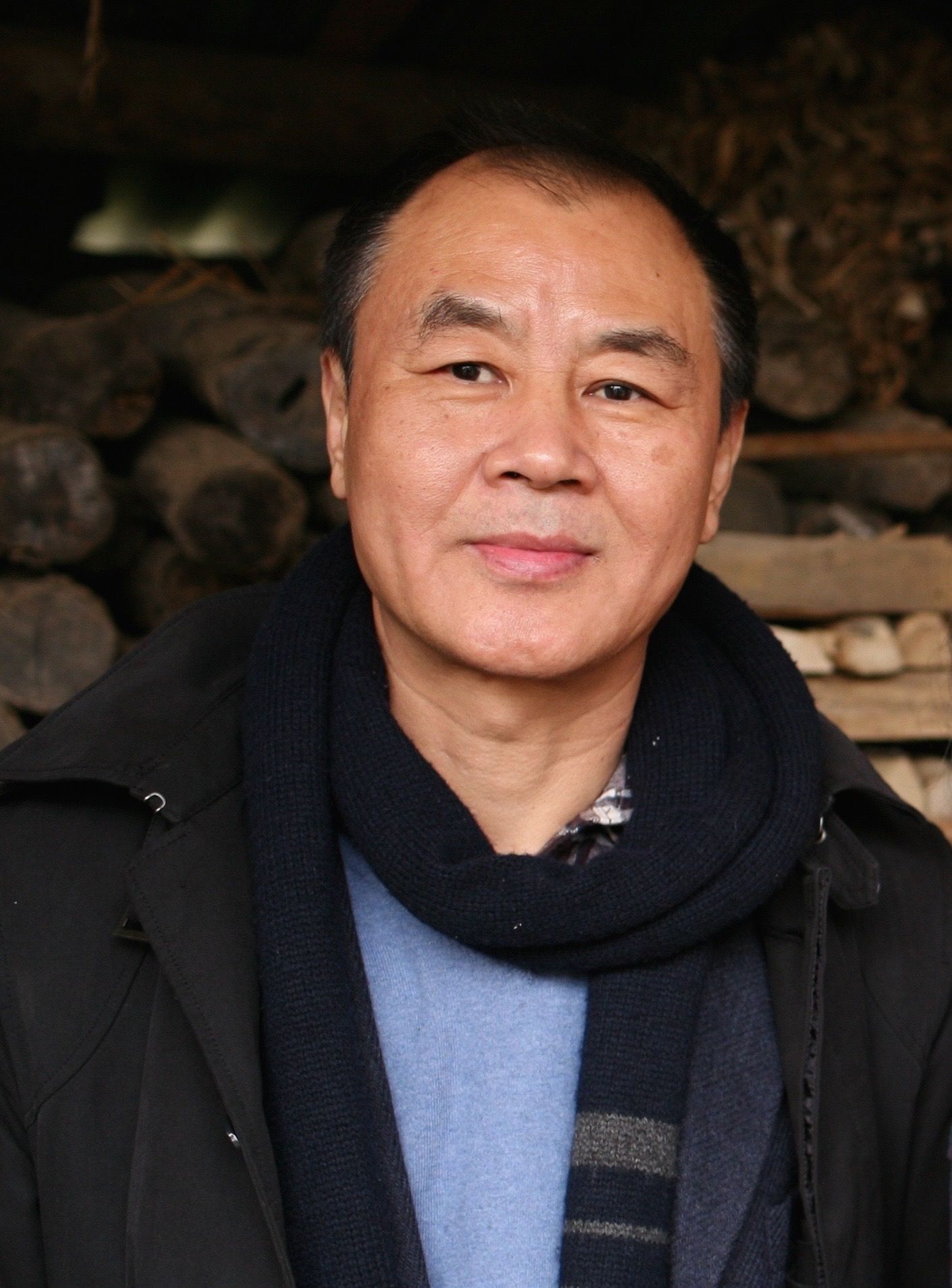 本世纪初,出现了洪子城,程光炜的中国当代诗歌史