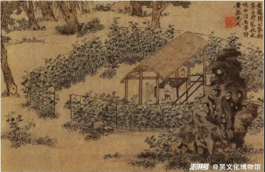 “秋风吹白酒，无事醉黄花。”（明）沈周《溪山草阁图》之一，台北故宫博物院藏