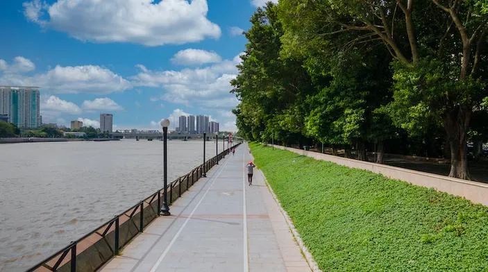 大坦沙岛环岛碧道1.27公里东岸段.信息时报记者 陈文杰 摄