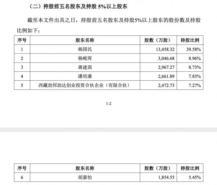 （图说：老娘舅持股前五名股东及持股5%以上股东情况，图片来源：公司辅导备案文件）