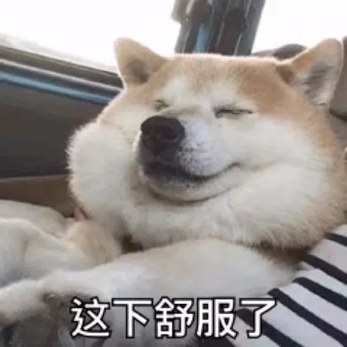 10月以来最强冷空气来袭！漳州安排在这一天降温……休闲区蓝鸢梦想 - Www.slyday.coM