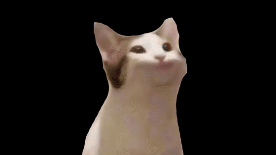 这只吸引了全球5000亿次点击的猫究竟是什么来头