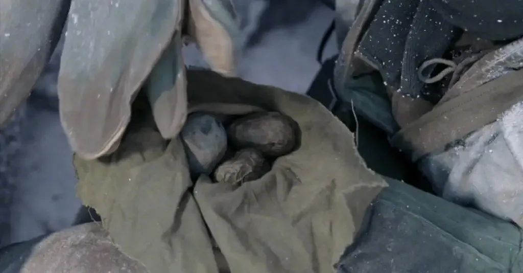 吃着火鸡和各种美味的食物,志愿军却只能吃冻得如石头一般硬的土豆