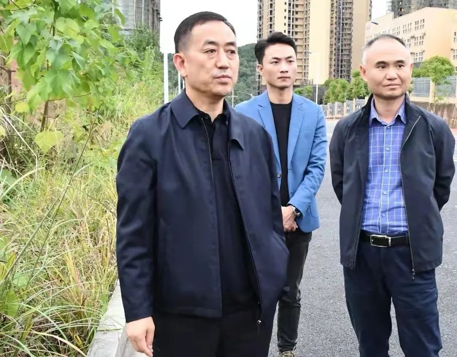 陈历贤调研新邵县城区基础设施和综合秩序整治|陈历贤_新浪新闻