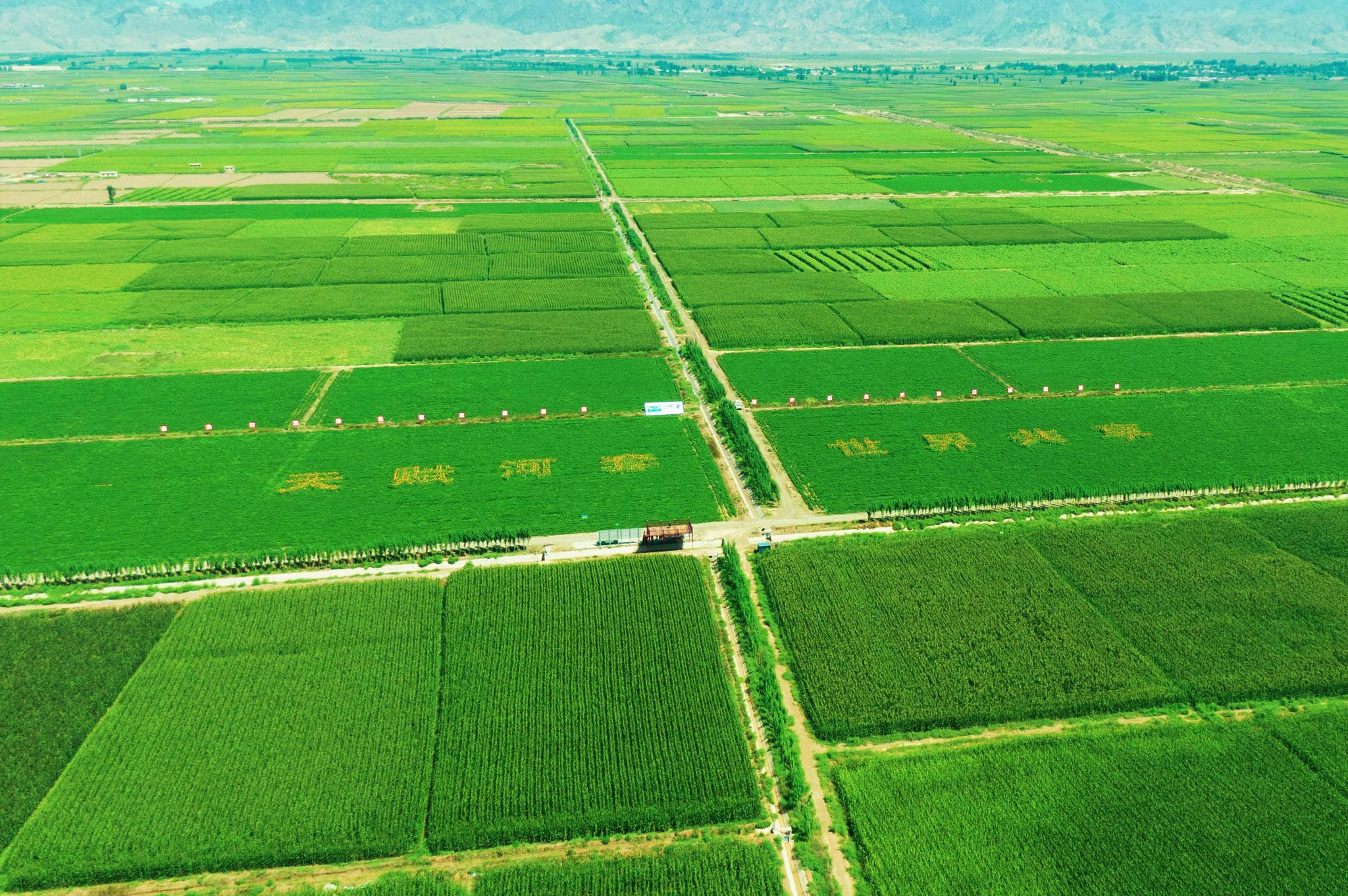村野春景 （作者：寒江流韵）