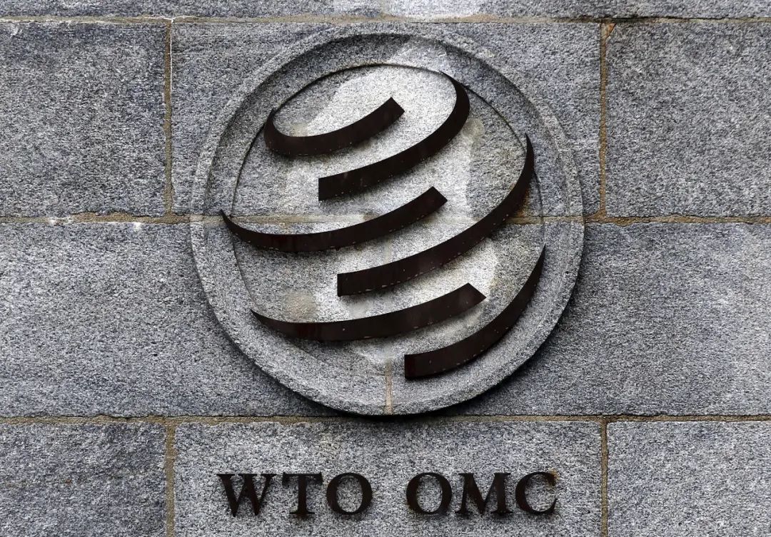 资料图片:世界贸易组织(wto)总部(视觉中国)