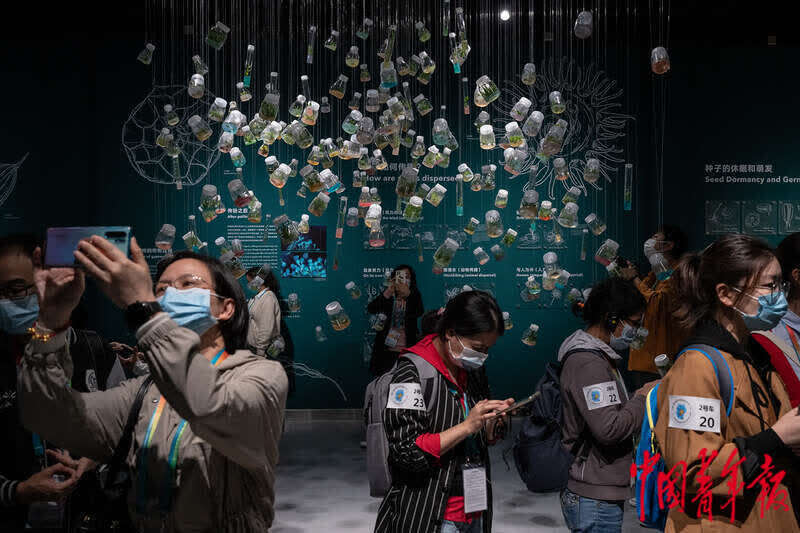 每周图片精选（10.9休闲区蓝鸢梦想 - Www.slyday.coM