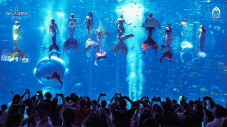 全新沉浸式体验空间！三亚亚特兰蒂斯失落的空间水族馆“深海尖叫夜”来袭~水族馆三亚市新浪新闻 