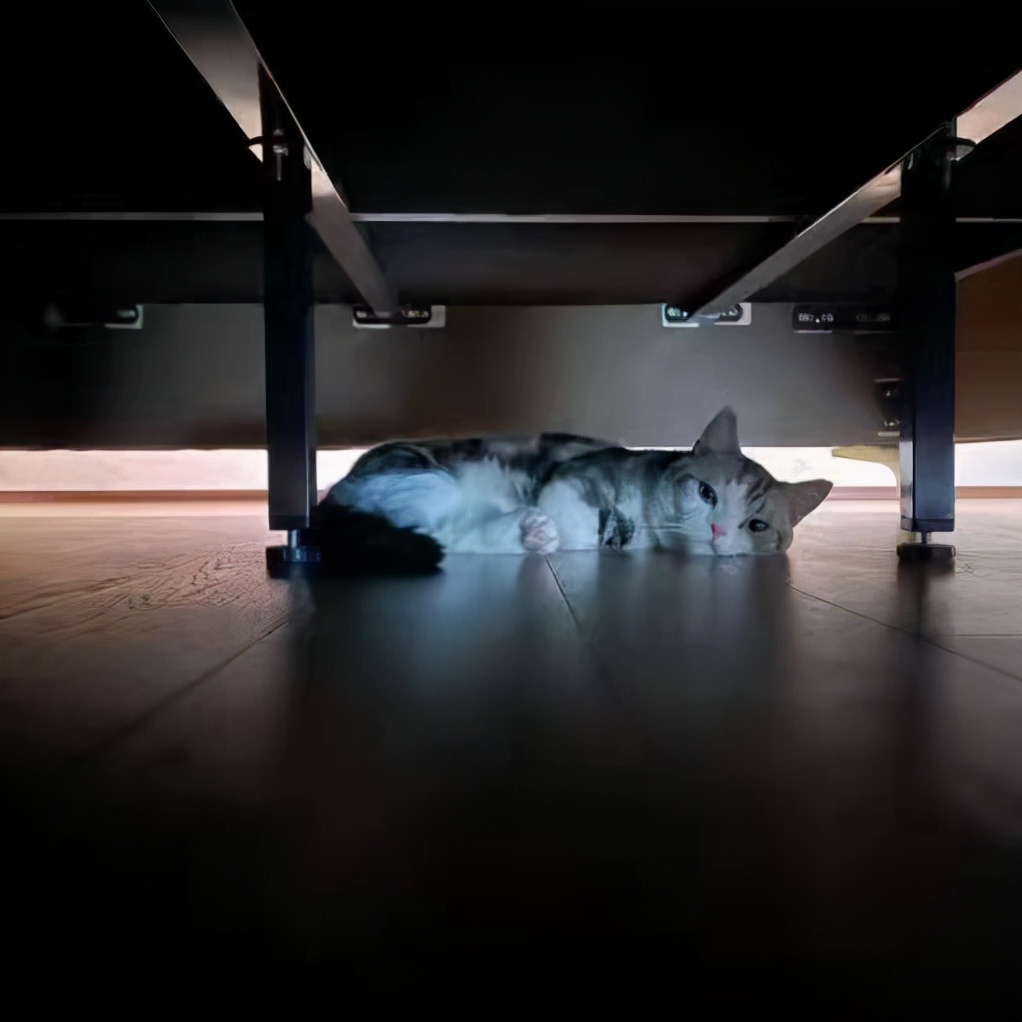 猫神反向大招搞队友心态阿泽一诺纷纷自闭一诺换头像要求下猫