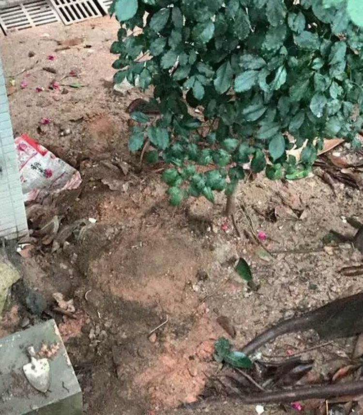 猫咪从17楼坠了下去,只因女主忘记关门窗,画面让人痛心!休闲区蓝鸢梦想 - Www.slyday.coM 猫咪从17楼坠了下去,只因女主忘记关门窗,画面让人痛心!休闲区蓝鸢梦想 - Www.slyday.coM