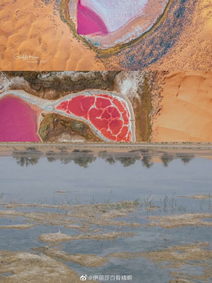 “滤镜景点”被吐槽，小红书道歉：将尝试推出踩坑榜休闲区蓝鸢梦想 - Www.slyday.coM