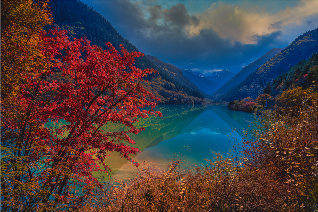 四川九寨沟的缤纷秋色