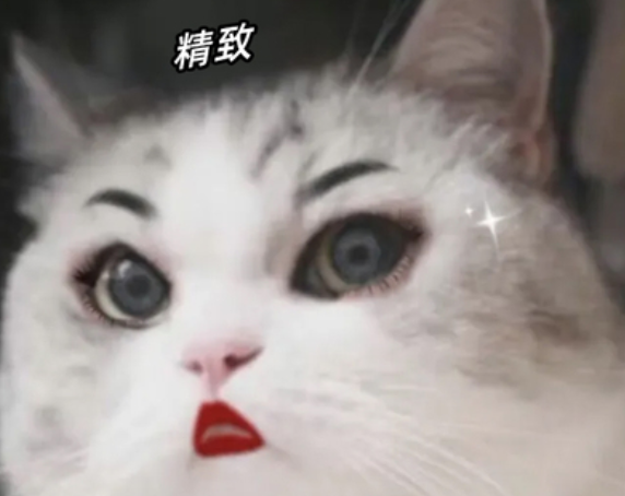 大学生化了个妆，竟惊动警方！咋回事？休闲区蓝鸢梦想 - Www.slyday.coM