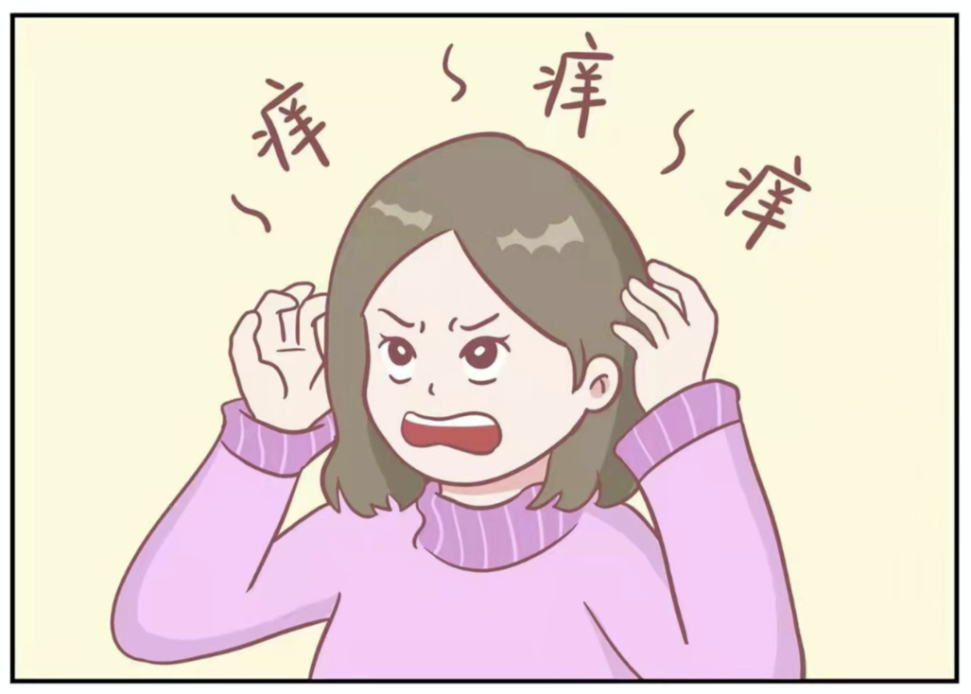 不挠吧那可真是抓心挠干儿的痒挠吧怕头屑越来越多然后有时候头皮屑还