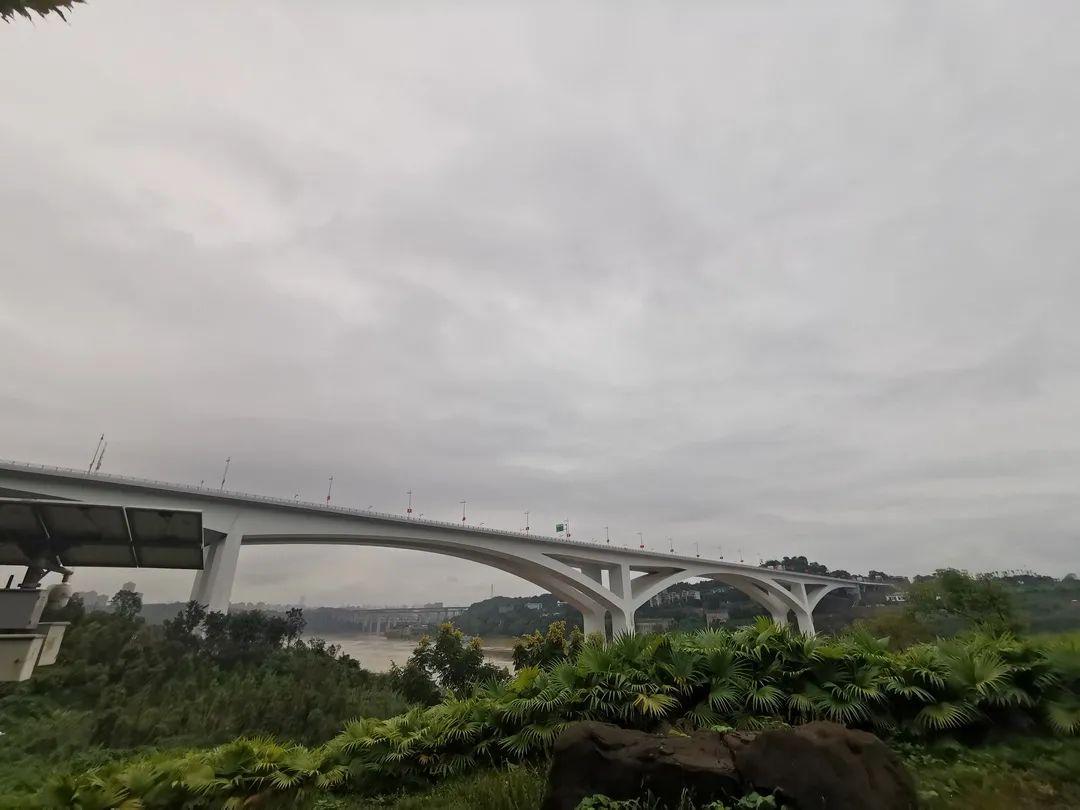 建成的礼嘉嘉陵江大桥（2021年） 姚於 摄