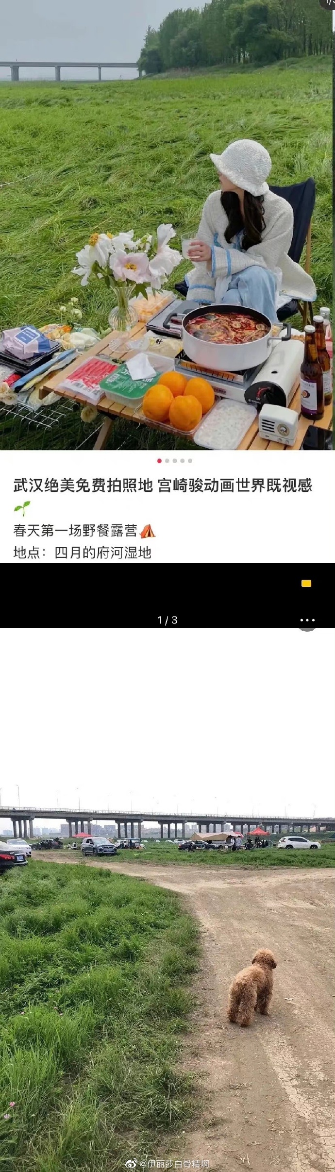 “滤镜景点”被吐槽，小红书道歉：将尝试推出踩坑榜休闲区蓝鸢梦想 - Www.slyday.coM