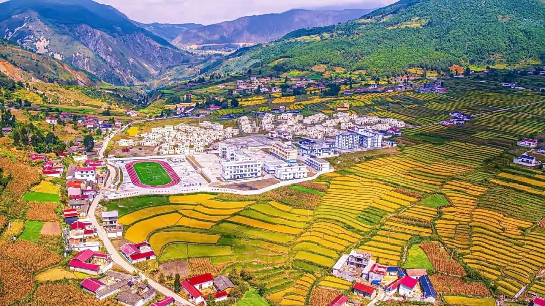 沃雷顿和喜德盛的关系 所罗门群岛椰子粕进口流程介绍