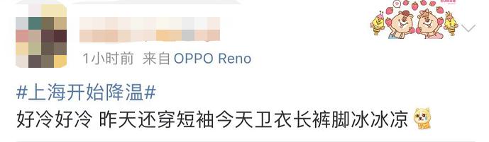 冷҈冷҈冷҈！入秋稳了！崇明气温还要继续降……休闲区蓝鸢梦想 - Www.slyday.coM