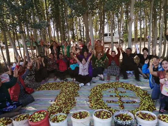     在萨依巴格乡，当地枣农喜迎丰收，用鲜枣摆出“70”和“丰”的字样庆祝新中国70岁生日。西北农林科技大学供图