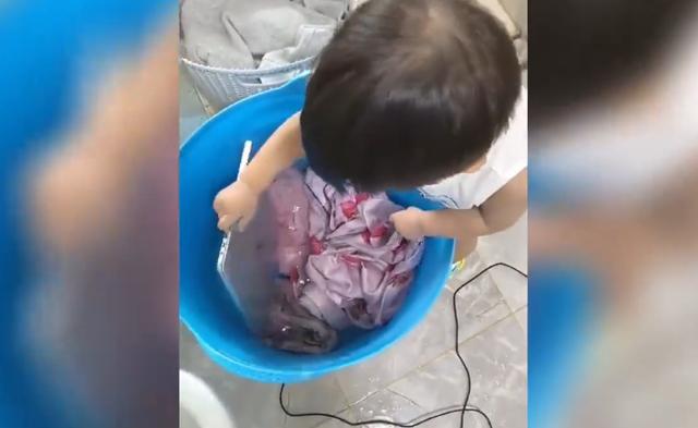 用钢丝球帮爸爸洗车，剪妈妈身份证照片做生日贺卡！这一届娃太能了休闲区蓝鸢梦想 - Www.slyday.coM