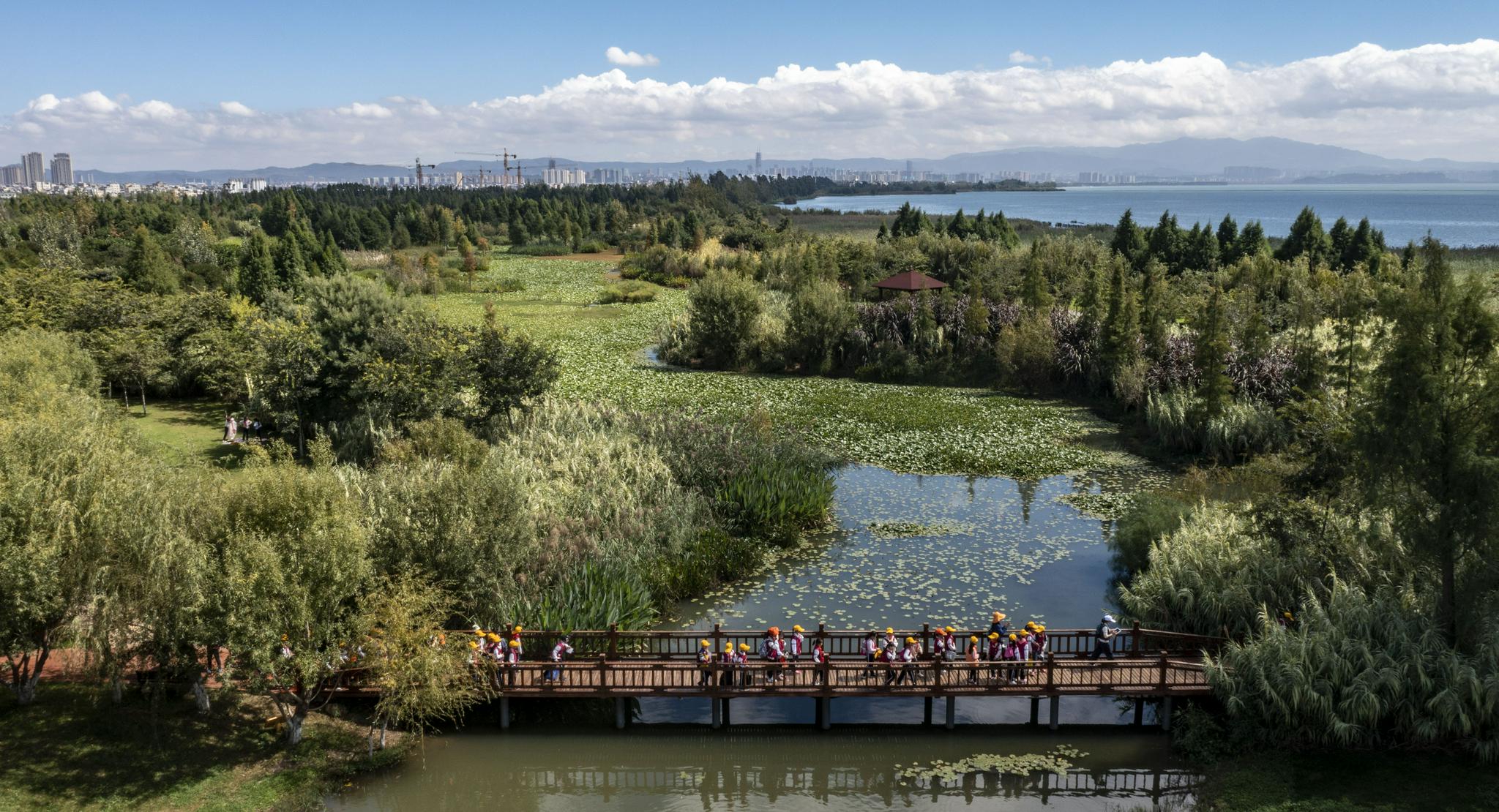 研学活动走进宝丰半岛湿地|湿地|云南省_新浪新闻
