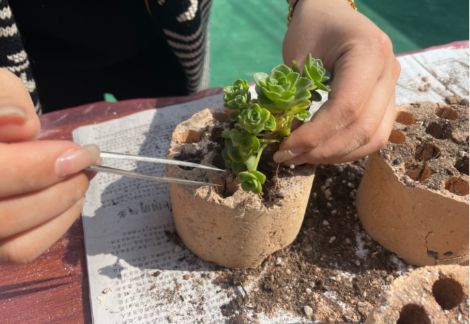 小摊贩扔掉的煤渣是个"宝",捡回家养花,可轻松改变土质|煤渣|养花|小