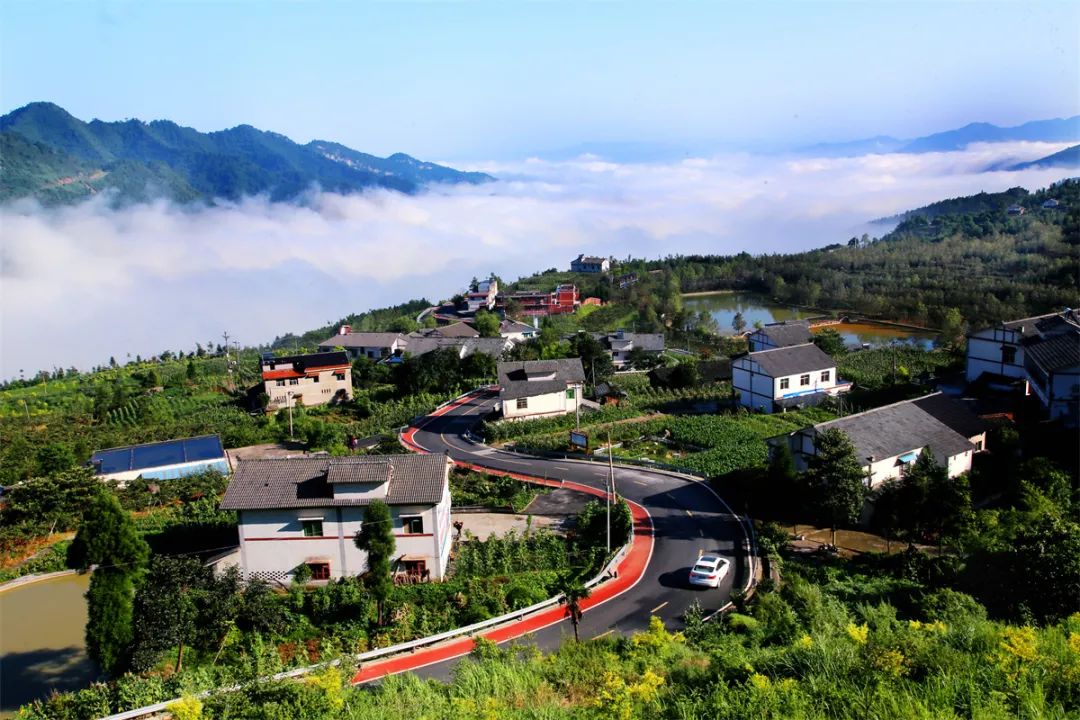 重庆这样上新|农村|重庆市|农民_新浪新闻