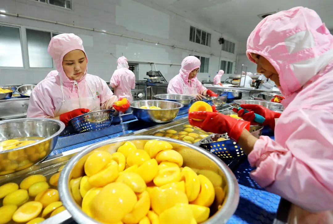 为什么东北人感冒一定要吃黄桃罐头