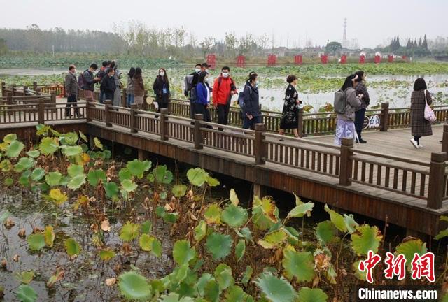 图为海内外媒体走进扬州沿湖村。　泱波 摄