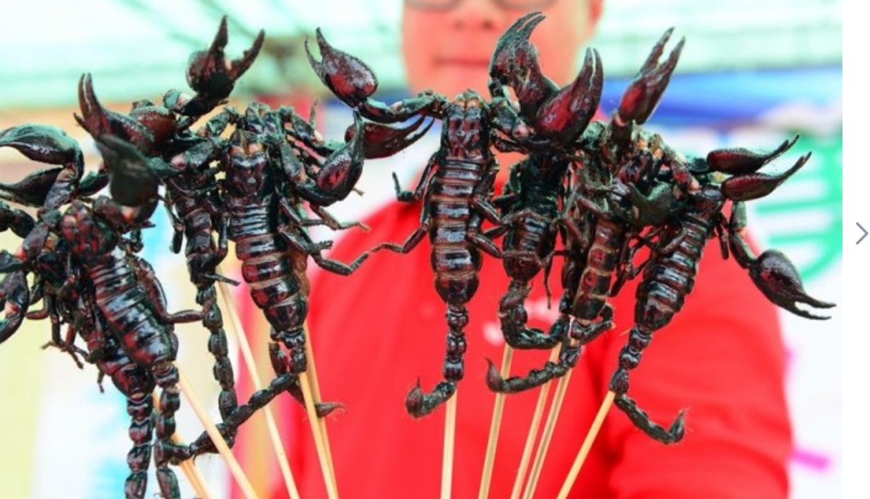 毒蝎子一直是恐怖代名词,但在泰国它们却是当地人的紧急储备粮