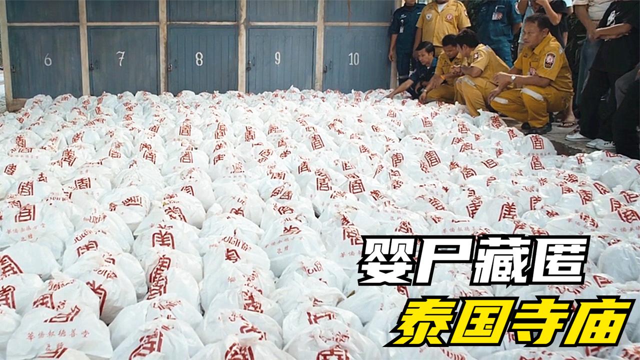 真实事件改编,寺庙内挖出2002具婴尸,背后真相非常瘆人