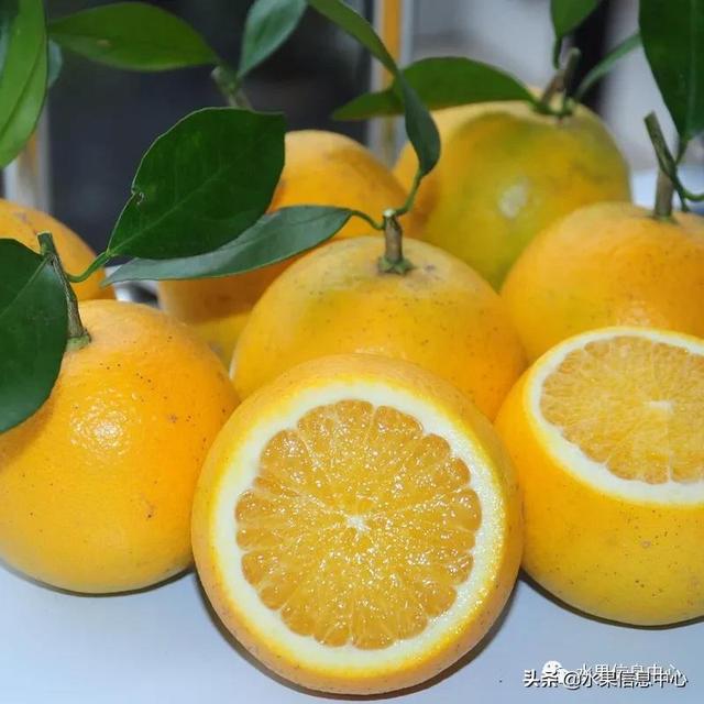 赣南脐橙和秭归脐橙哪种好吃(秭归脐橙好还是赣南脐橙好)